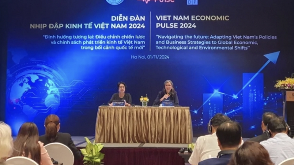 Vietnam shows resilience amid global challenges: experts